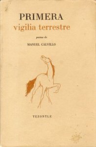 Primera vigilia terrestre